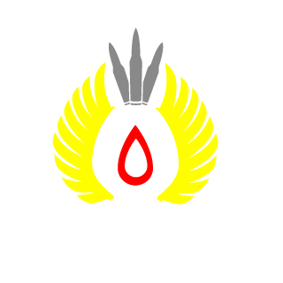 CocaineDisco's emblem
