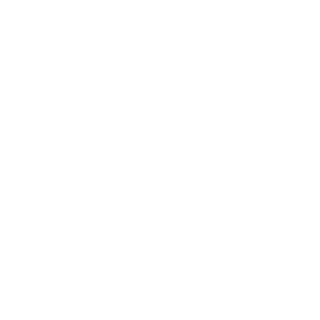 Lmvfrogger's emblem