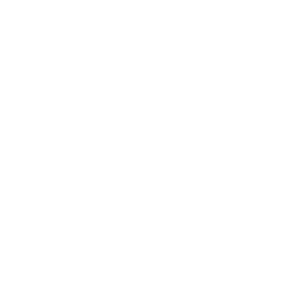 Bodenmeister's emblem