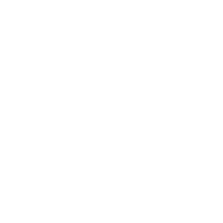CelticRecon's emblem