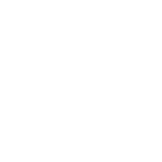 inttense's emblem