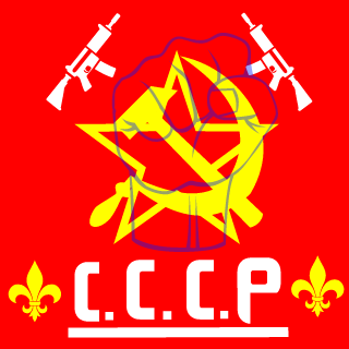 DSG Pixel's emblem