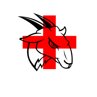 CAPTAIN1HENTAI's emblem
