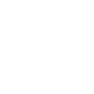 TheXTI's emblem