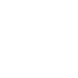 vikingbr's emblem