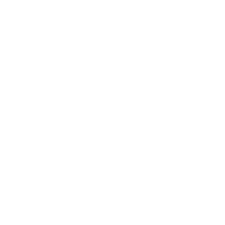 721383b3a854e0cd's emblem
