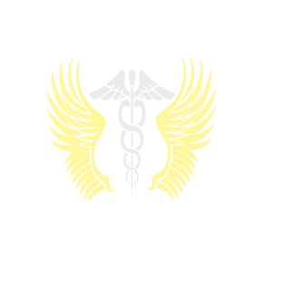 Anjo_tm's emblem