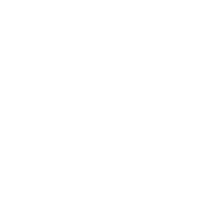 ayman21sa's emblem