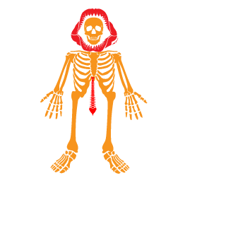 1ausschlachter1's emblem