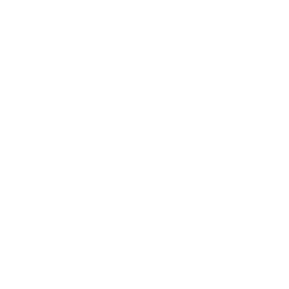 NPA114514Brigade's emblem