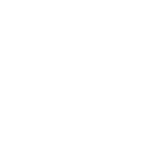 Nmsl_HuaQ's emblem