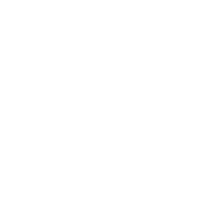 invaderu99's emblem
