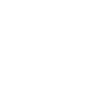 Koks102's emblem