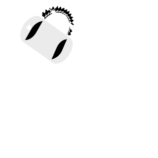 Punisher1421's emblem