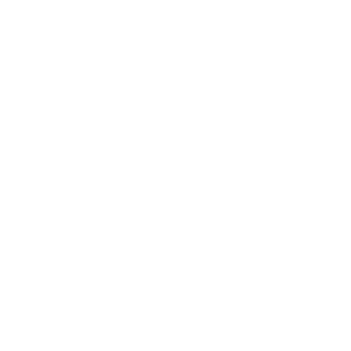 PL_patriota's emblem