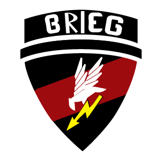 Brieg's emblem