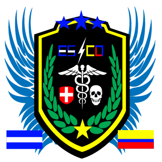 FrankCstle's emblem