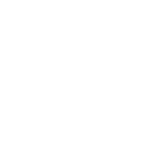 BLANK82828's emblem