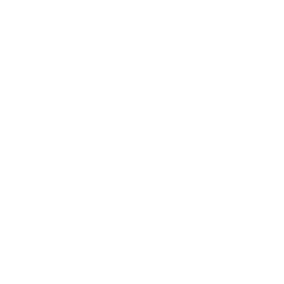 NINAW NINJA's emblem