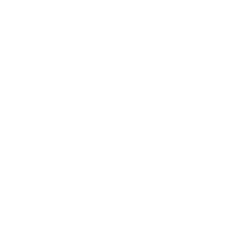 ALANtheNAVAJO's emblem