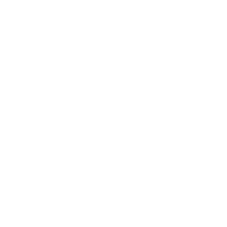 AngelPL9951's emblem