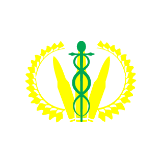 Shishiodark's emblem