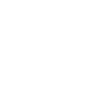 Deamonshock's emblem