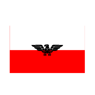 PolandArmy's emblem