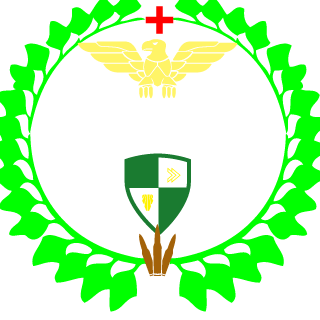 Caioarrudaa's emblem
