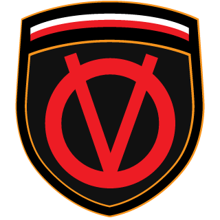 Virtual Team's emblem