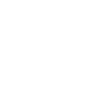 Wangzhongrui's emblem