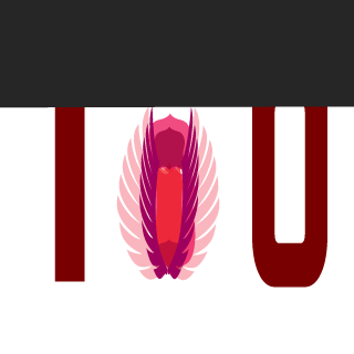Tyylimies's emblem