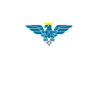 HUABIAO233's emblem