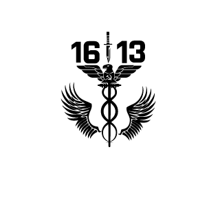 ViVerNA1613's emblem