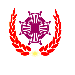 DANILIN_99's emblem