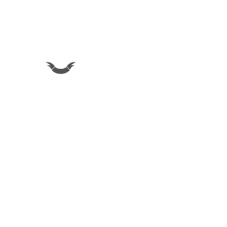 4klim's emblem