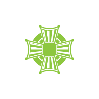 INFINITY_RAYES's emblem