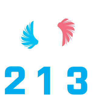 ProMedic4U's emblem