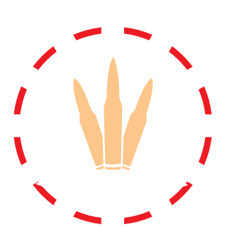 The_Zephyrion's emblem