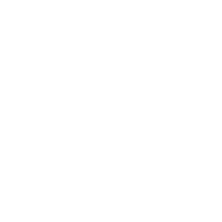 45_flow's emblem