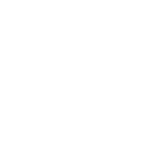 EgorPresent's emblem