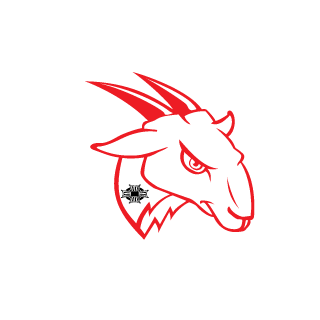 Cigan691234's emblem