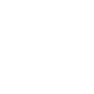 RevSpieg61's emblem