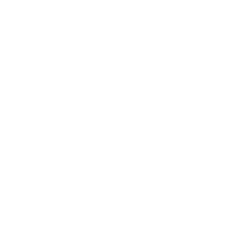 DiscoVegeta's emblem