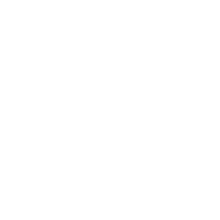 lDANKl's emblem
