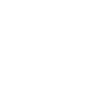 ParabellumForte's emblem