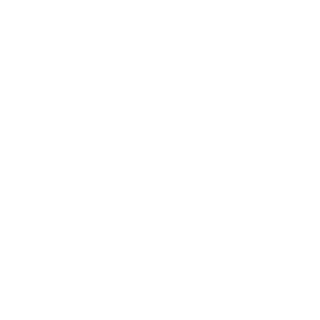 VidokByRuS's emblem