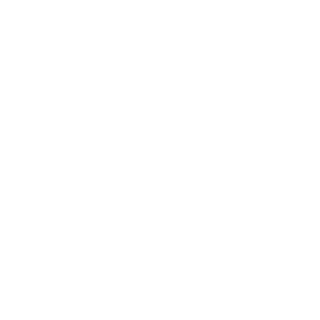 0_ABOOLA_0's emblem