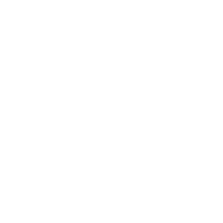 Born100BCE's emblem