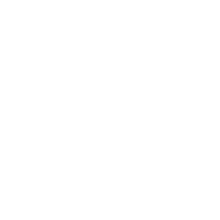 SebaKoks11's emblem